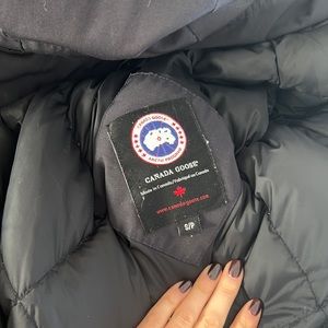 Canada Goose Down